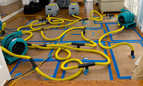 Professional Burst Pipe Water Damage technician working in Channahon, IL